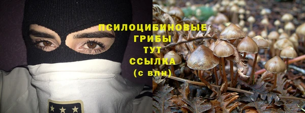 кокаин колумбия Пересвет