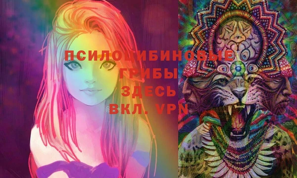 ешки Переславль-Залесский