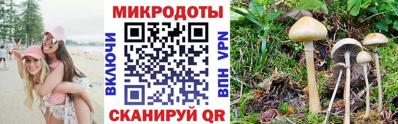Псилоцибиновые грибы мухоморы  Андреаполь 